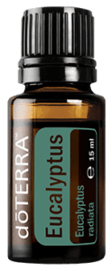 Eucalyptus (Eucalipt) - ulei esential doterra