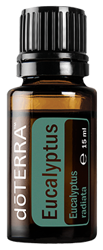 Eucalyptus (Eucalipt) - ulei esential doterra