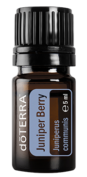 Juniper Berry (Ienupăr) - ulei esential doterra