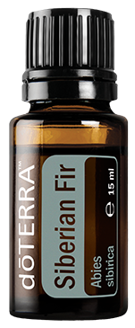 Siberian Fir (Brad Siberian) - ulei esential doterra