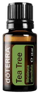 Tea Tree (Arbore de Ceai) - ulei esential doterra