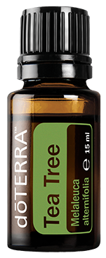 Tea Tree (Arbore de Ceai) - ulei esential doterra