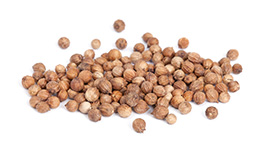 Coriander Coriandru - semințe doTERRA Info