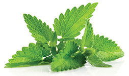 Melissa Roiniță ulei esențial doTERRA