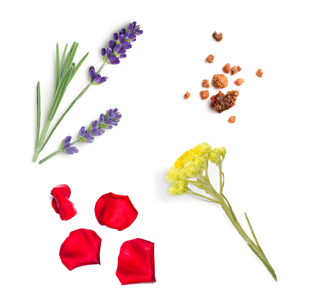 Salubelle doTERRA ce conține