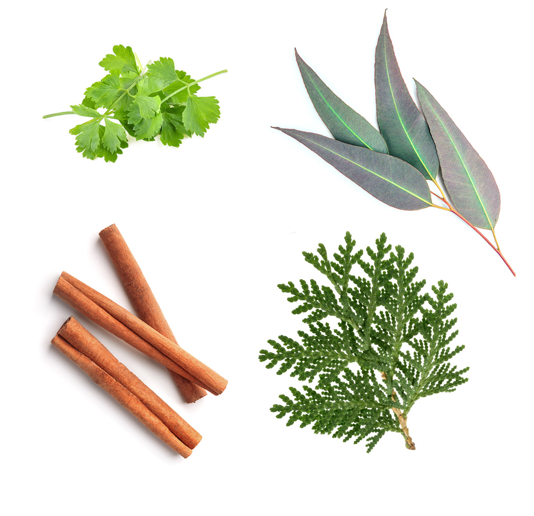 Abōde doTERRA ce conține