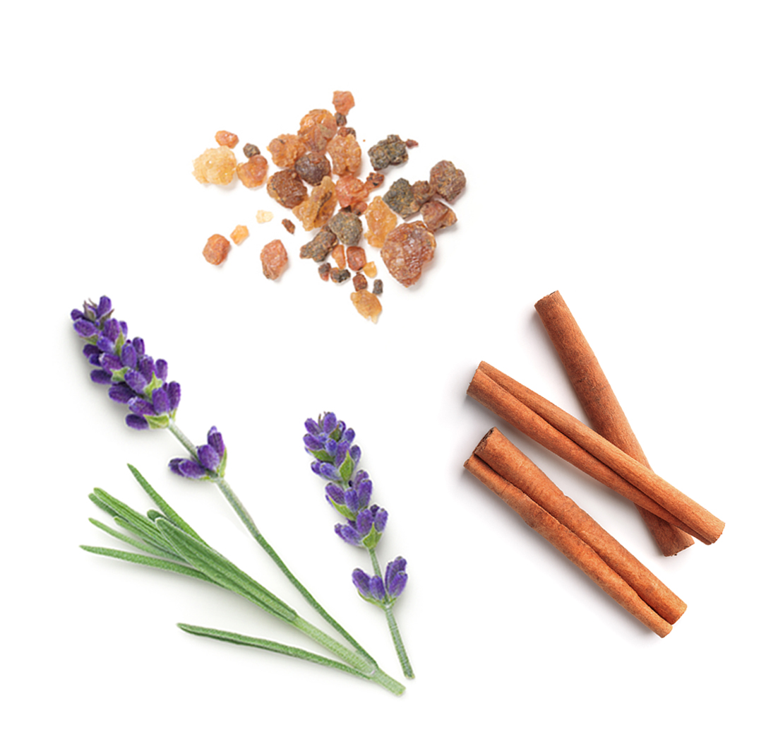 Anchor doTERRA ce conține