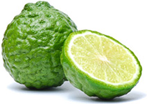 Bergamot Bergamotă doTERRA Info