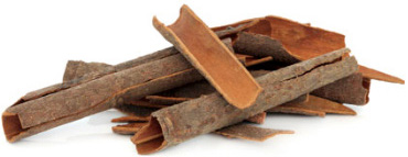 Cassia doTERRA Info