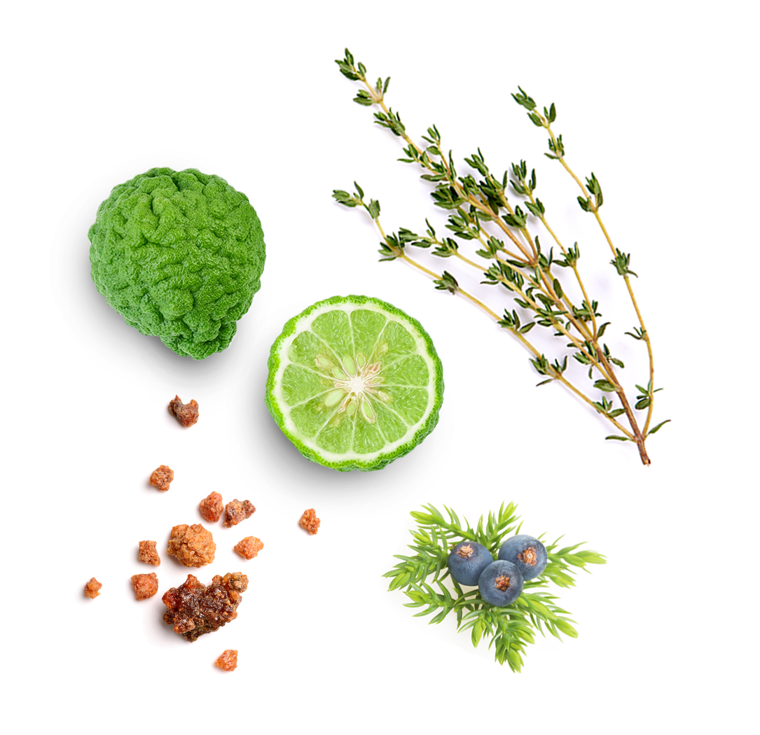 Forgive doTERRA ce conține