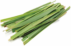 Lemongrass doTERRA Info