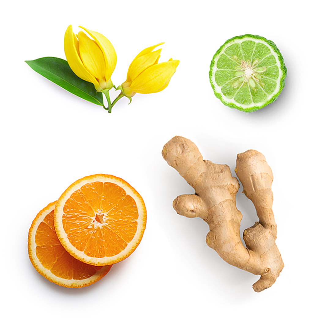 Passion doTERRA ce conține
