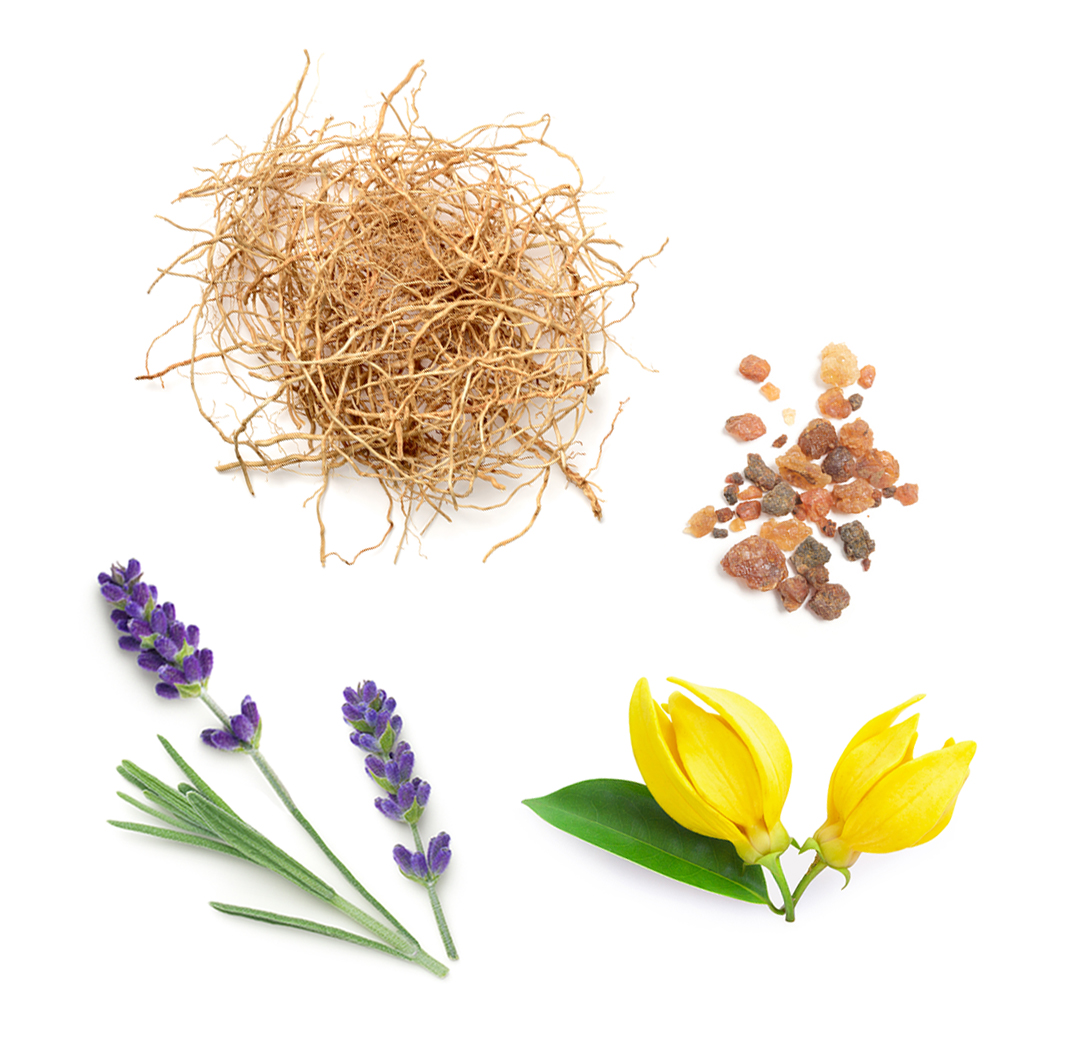 Peace doTERRA ce conține