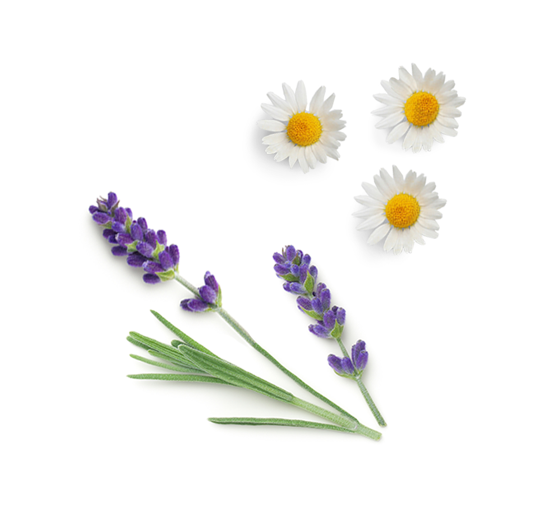 Calmer doTERRA ce conține
