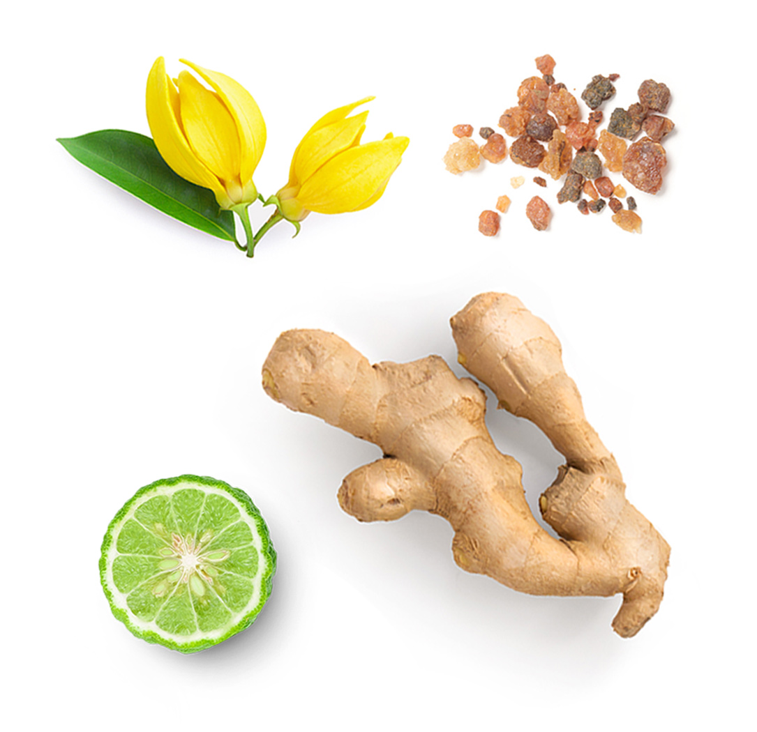 Cheer doTERRA ce conține